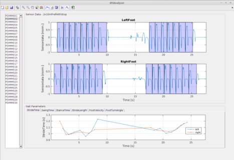 The analysis tool that is currently being developed in the EFIMoves project for advances gait analysis