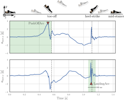 Definition of peak accelerations during loading and landing given an exemplary gravity-free acceleration signal for one stride.