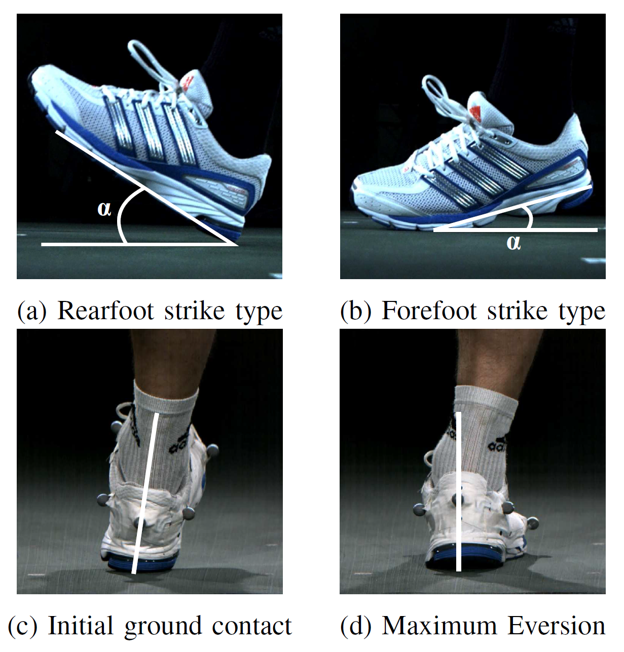 Personalized running shoe using different data sources
