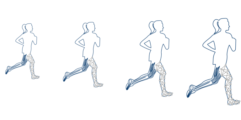 Featured image for Biomechanical Motion Analysis and Creation