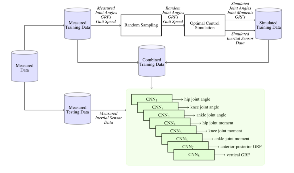 Learning from Biomechanical Simulations