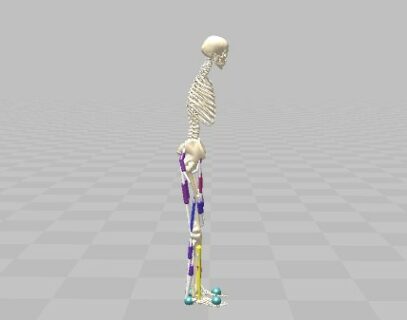 Towards entry "ID 2365: Deep Reinforcement Learning for Musculoskeletal Models"