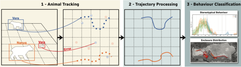 New Publication: “Automated long-term monitoring of stereotypical movement in polar bears under human care using machine learning”